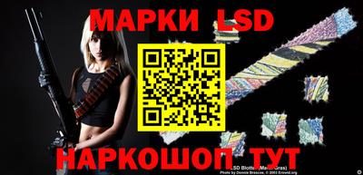 мдпв Кингисепп
