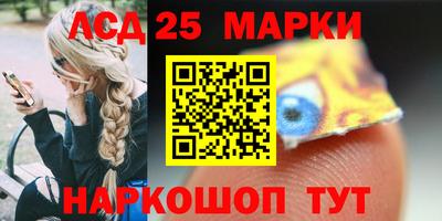 мдпв Кингисепп