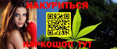 мдпв Кингисепп