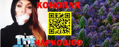 мдпв Кингисепп