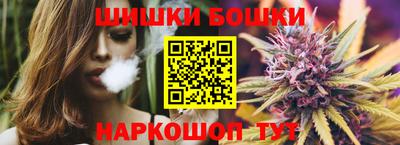 мдпв Кингисепп