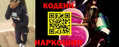 мдпв Кингисепп