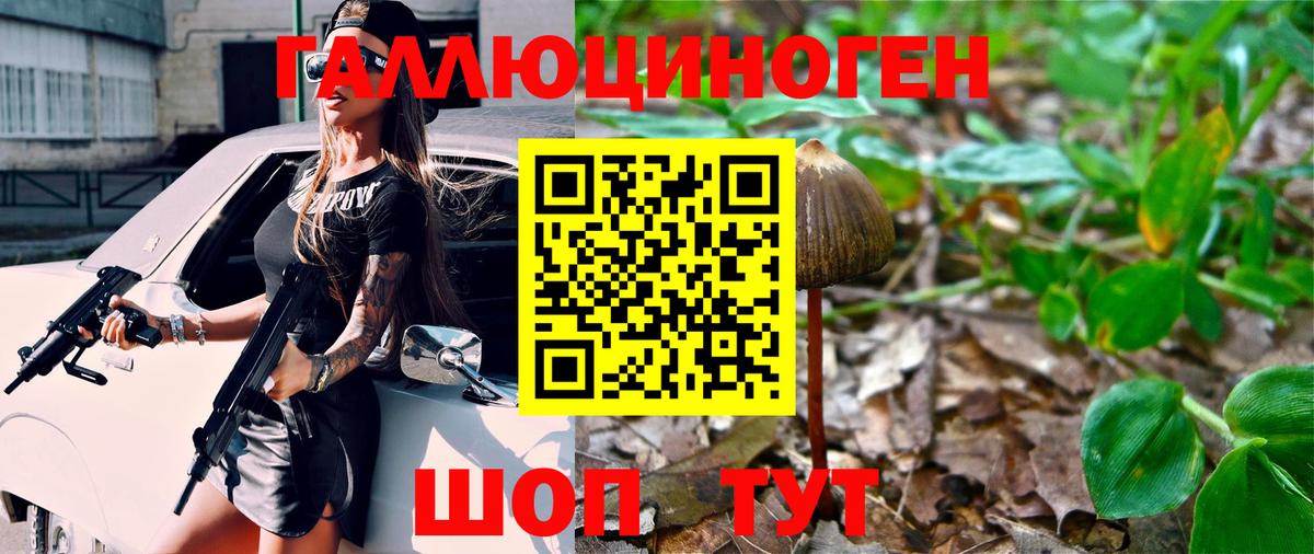 Псилоцибиновые грибы Psilocybe Кубинка